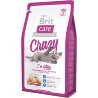Brit Care CRAZY I'm kitten