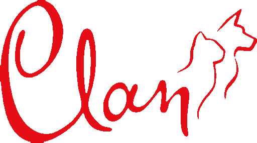 Логотип Clan
