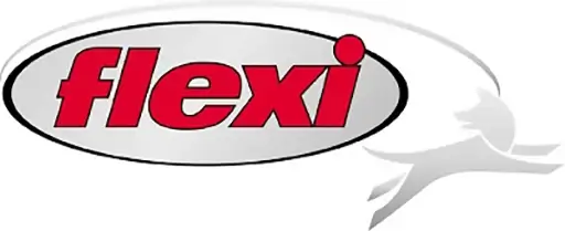 Логотип Flexi